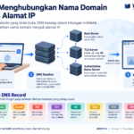 DNS